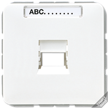 JUNG Крышка для модульных гнезд AMP  KAT5 569-15WE