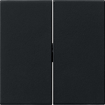 Gira S-55 Черная матовая Клавиша 2-ная 0295005