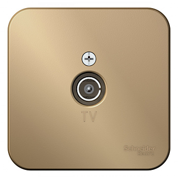 Systeme Electric Blanca наруж Титан Розетка TV, изолир. пластина