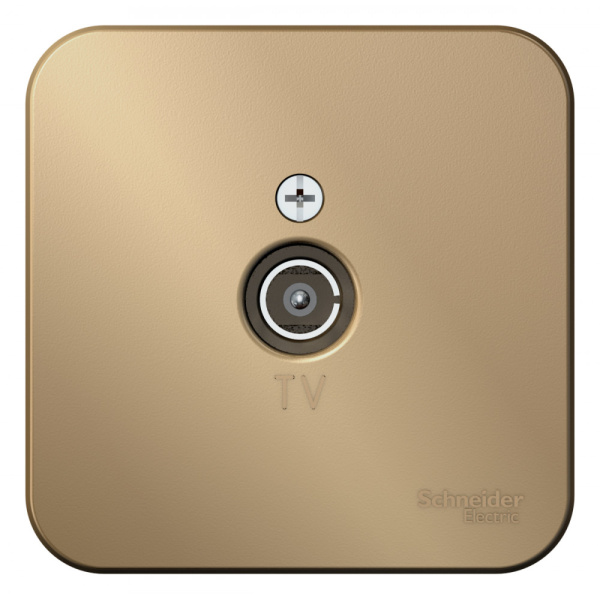 Systeme Electric Blanca наруж Титан Розетка TV, изолир. пластина