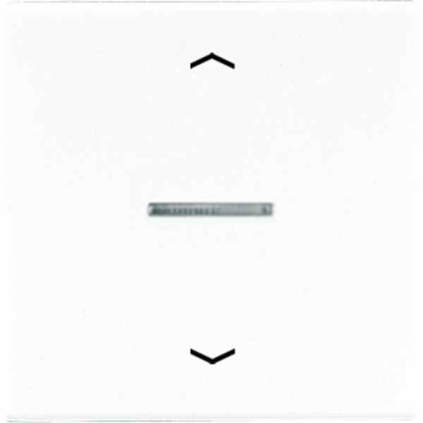 JUNG Клавиша для кнопки BCU LS990KO5PWW