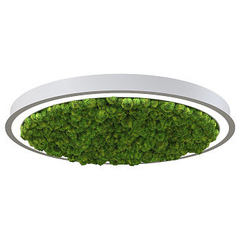 Svetholl Стэрия мосс (Обычная версия) D608 Мощность: 24W ISSTM4-065045-060820024