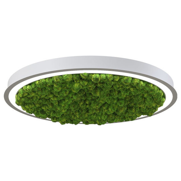 Svetholl Стэрия мосс (Обычная версия) D608 Мощность: 24W ISSTM4-065045-060820024