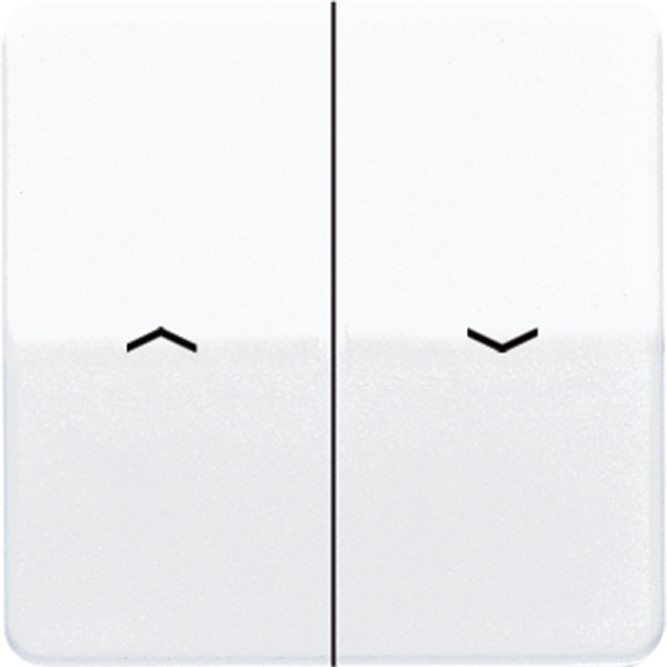 JUNG CD 500/CD plus Белая Клавиша 2-ая жалюзийная CD595PWW