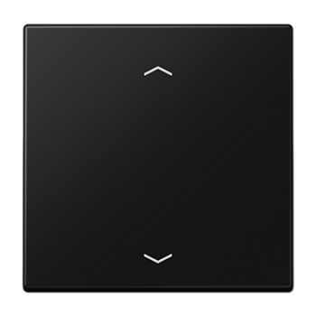 JUNG LS 990 Черный матовый Центральная плата стандарт с символами «стрелки» LS1700PSWM