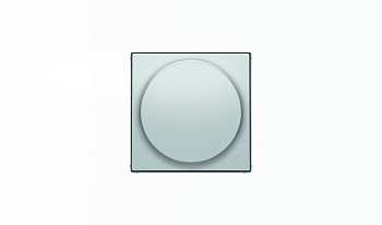 ABB SKY Серебристый алюминий Накладка с поворотной ручкой для механизма поворотного светорегулятора 2CLA856020A1301