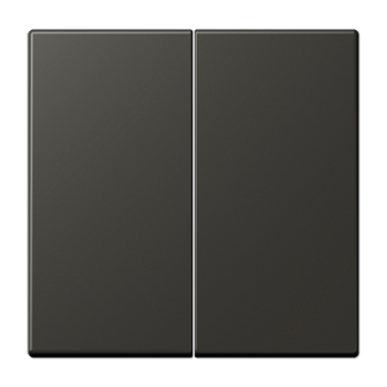 JUNG LS 990 Ombre naturelle 59(4320R) Клавиша 2-ая LC9954320R