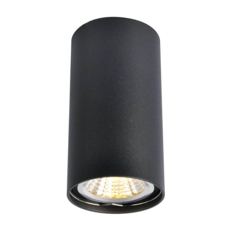 Arte Lamp UNIX Потолочные светильники A1516PL-1BK