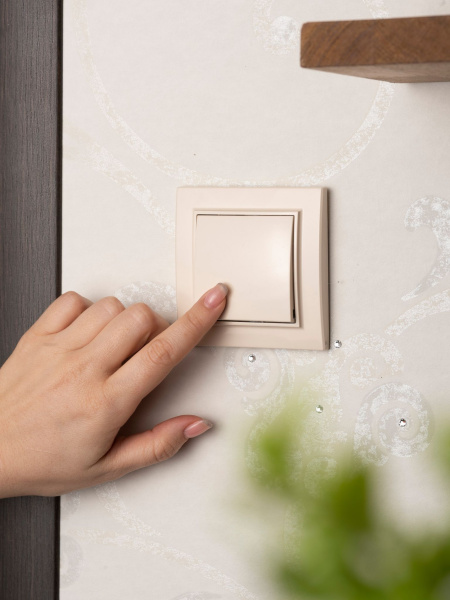 Купить EKF Basic Минск Бежевый Выключатель 1-кл, 10А, СП