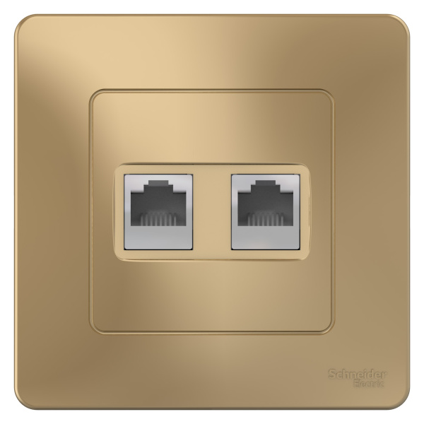 Купить Systeme Electric Blanca внутр Титан Розетка 2-ая компьютерная RJ45