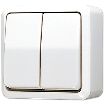 JUNG Белый Выключатель для накладного монтажа сдвоенный 605AWW