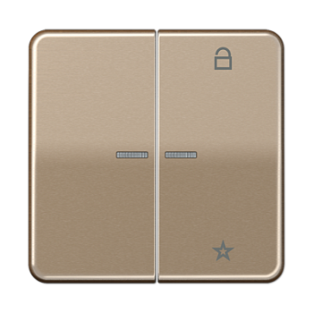 JUNG Центральная плата универсальная, золотая бронза CD1701GB