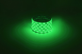 ЭРА Светодиодная лента LS2835 -4,8-60-12-G-IP65-1 year-5m, зеленый, 5м