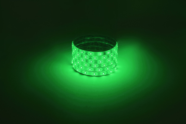ЭРА Светодиодная лента LS2835 -4,8-60-12-G-IP65-1 year-5m, зеленый, 5м