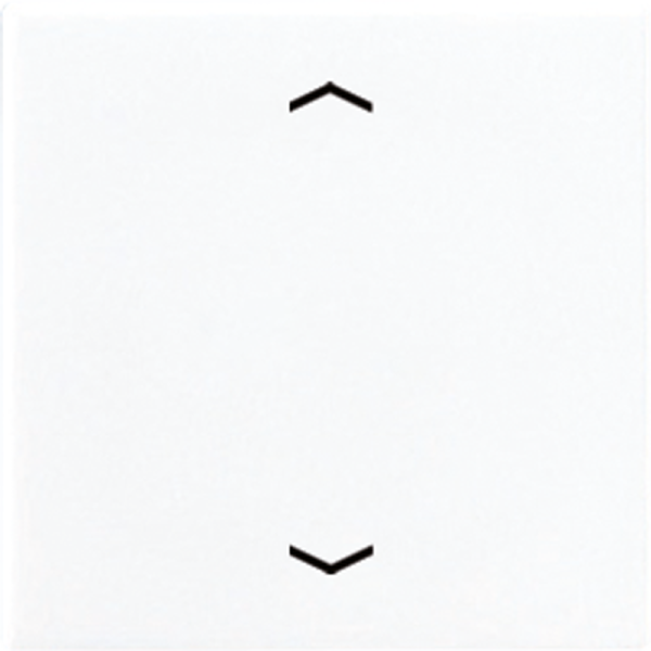 JUNG Клавиша для одинарной кнопки BCU белая A590PWW