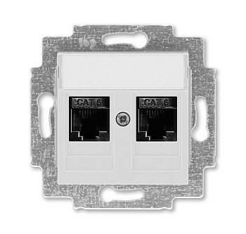 ABB EPJ Levit серый / белый Розетка компьютерная, 2хRJ45 кат,6, серый 2CHH296118A6016