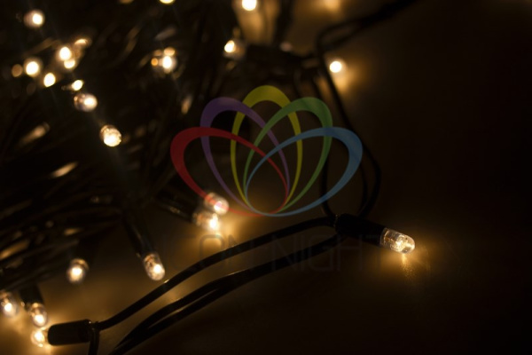 Купить NEON-NIGHT Дюраплей 10 м, черный каучук, 100 LED, цвет белый/теплый белый, Flashing (каждый 6 диод), 24 В 311-135