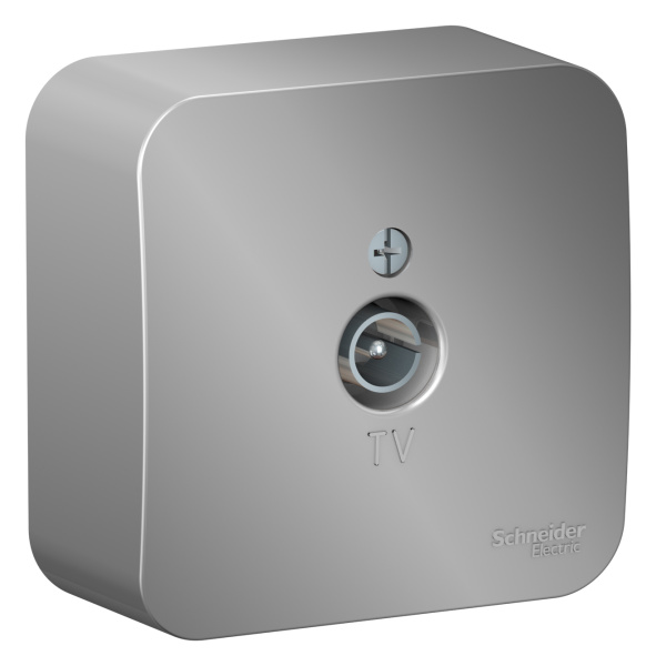 Купить Systeme Electric Blanca наруж Алюминий Розетка TV, изолир. пластина