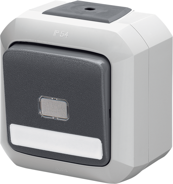 ABB Variant+ Серый Выключатель кнопочный одноклавишный с прозрачной линзой и полем для надписи, IP54 2CHN589153C4517