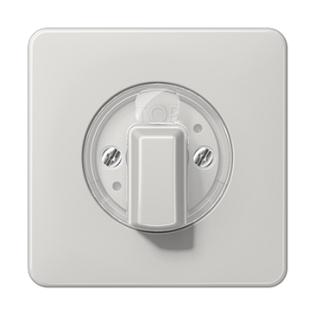 JUNG Накладка поворотного механизма светло-серая CD1541LG