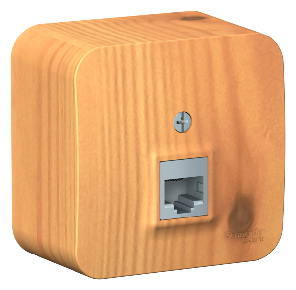 Купить Systeme Electric Blanca наруж Ясень Розетка компьютерная RJ45, кат.5E, изолир. пластина