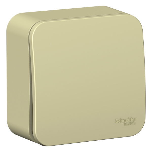 Systeme Electric Blanca наруж Беж Переключатель 1-клавишный (cх.6) изолир. пластина 10А, 250B
