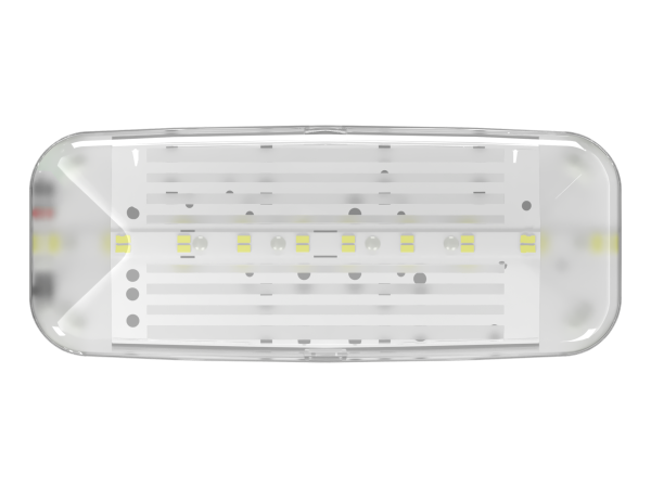 Купить Белый свет Аварийный светильник BS-JUNIOR-83-L1-INEXI3-MSS2 a15712