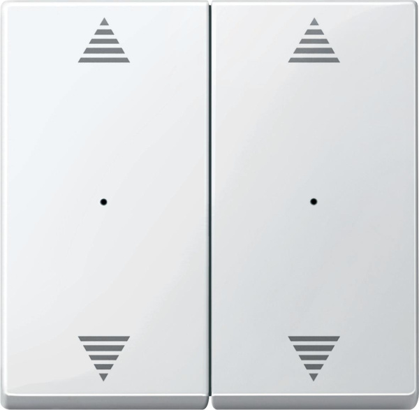 Купить SE Merten KNX\EIB SM Полярно-бел Клавиша для модуля 2-кнопочного выключателя, с символами ВВ/ВН, 1/0 (MTN619719)