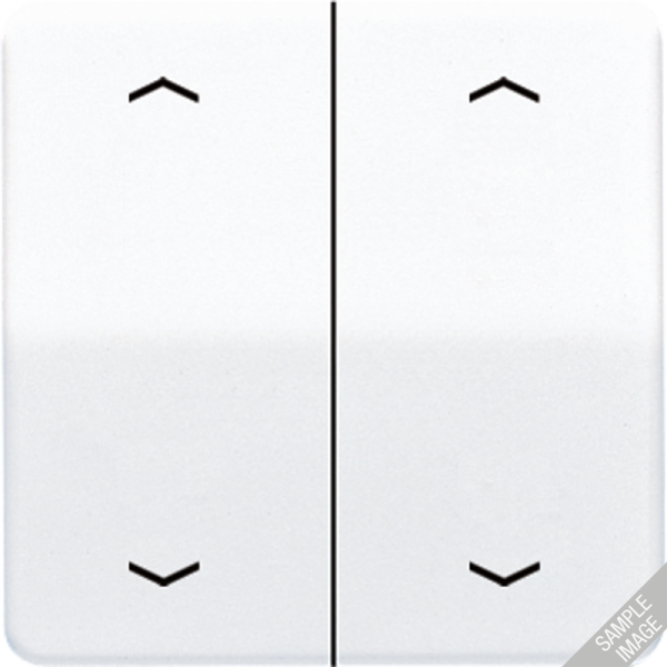 JUNG Клавиши для сдвоенной кнопки BCU светло-серые CD595MPLG