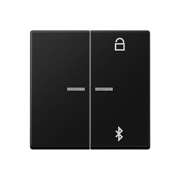 JUNG A Flow/A 550 Черный матовый Таймер универсальный Bluetooth A1751BFBTSWM