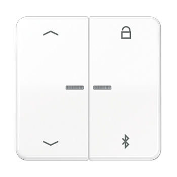 JUNG Таймер универсальный Bluetooth «стрелки», белый CD1751PBTWW