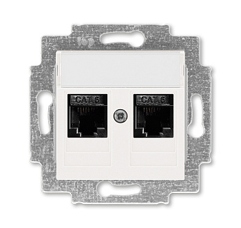 ABB EPJ Levit жемчуг / ледяной Розетка компьютерная, 2хRJ45 кат,6, жемчуг 2CHH296118A6068