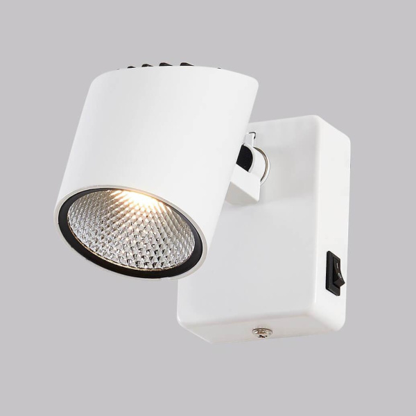 Купить Citilux CL556610 Дубль-2 Белый Светильник Наст.-Потол.