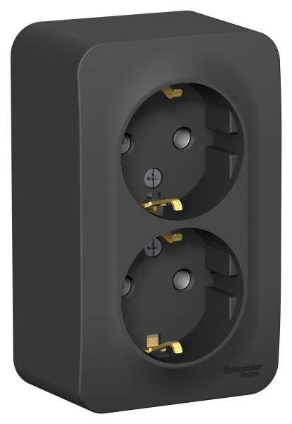 Купить Systeme Electric Blanca наруж Антрацит Розетка 2-ая с/з без шторок 16А, 250В, изолир. пластина